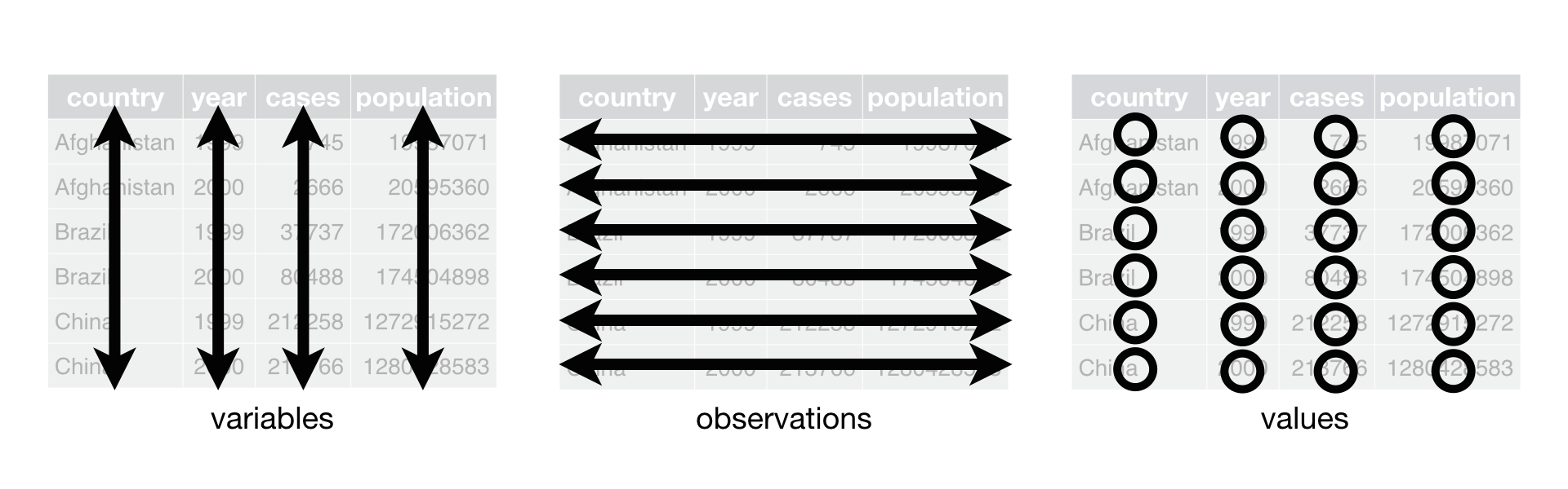 The image depicts tidy data. One column represents a variable, one row represents a sample, and one cell represents a piece of information.